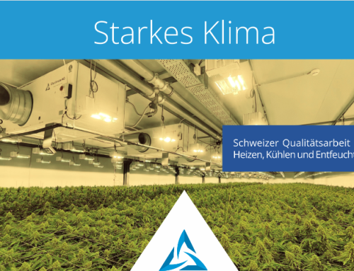 Perclimate bei der Mary Jane Berlin 2025 – Cannabis Expo & Chill Festival